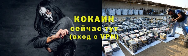 гашик Беломорск