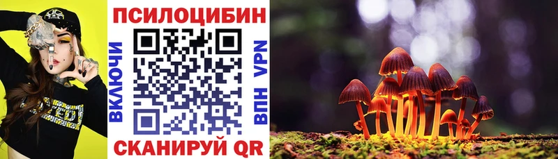 Купить  Бабаево  Псилоцибиновые грибы Cubensis 